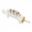 Abdrueckventil Monty 33006 Mm Anschluss 4031031