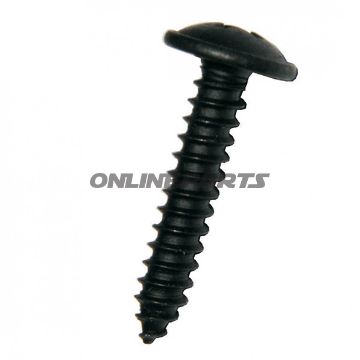 Blechschraube M Torx 4.8X13black V2a