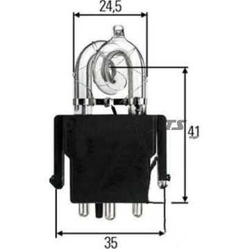 Bulb X1 12/24V