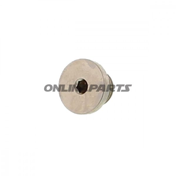 Screw Plugfür Zylinder Ac Vl3/6/10