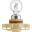 Bulb 12V 24W Pg20/7