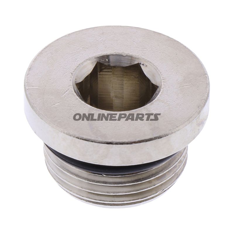 Blindstopfen G 3/8233.04-N
