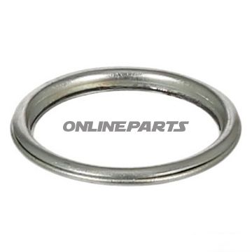 Dichtring Oelablass