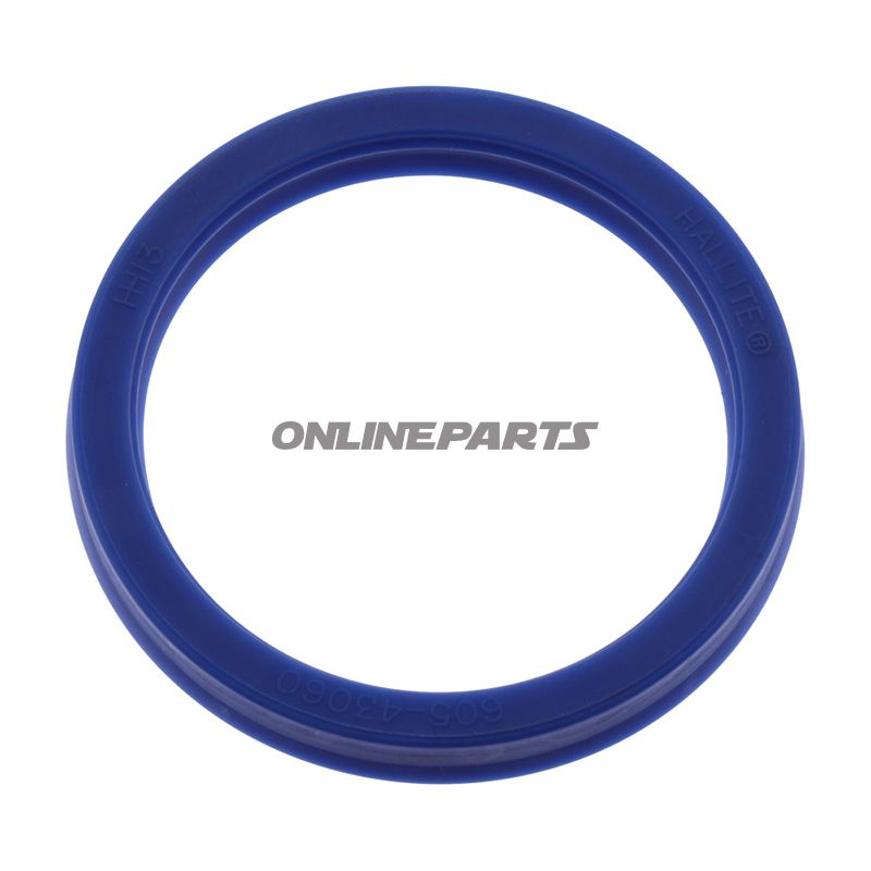 Seal Ring Twin Ram 5050X60x8