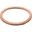 Seal Ring Oelablasss22x27x1.5 Mm