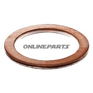 Seal Ring Oelablasss16x22x1.5 Mm