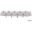 Bulb 12V1.2W W2x4.6 Jmppck 10 Pcs Jmp 1590202