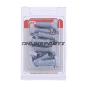 Bolt Galvanized 8.8 M8x20pkg 10 Pcs Altn 4868410