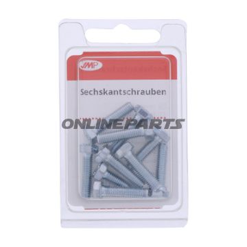 Bolt Galvanized 8.8 M5x20pkg 10 Pcs Altn 4868121