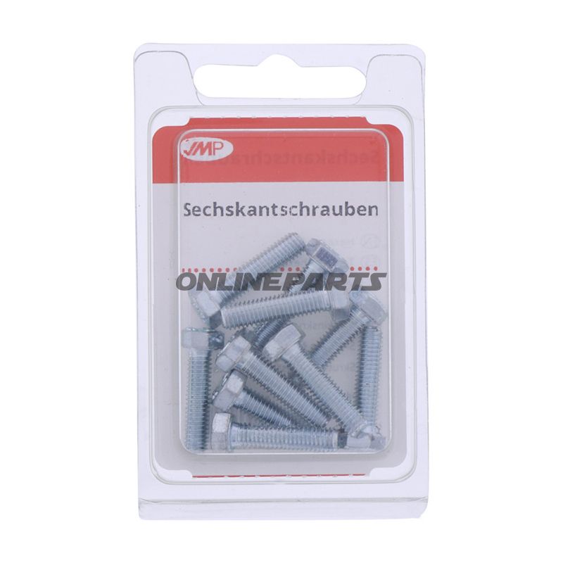 Bolt Galvanized 8.8 M5x20pkg 10 Pcs Altn 4868121