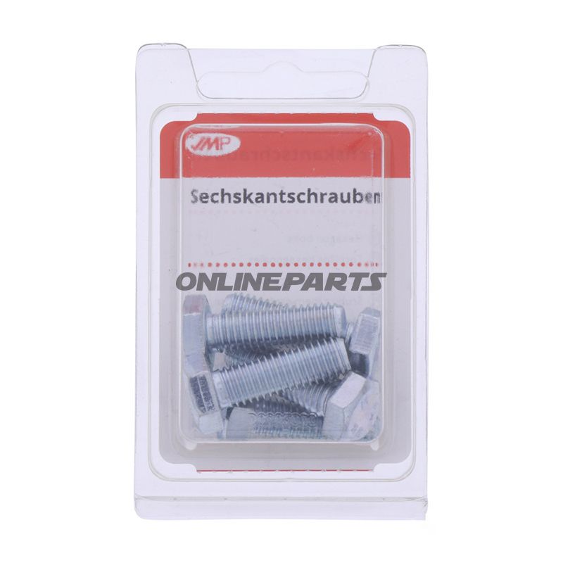 Bolt Galvanized 8.8 M8x25pack 5 Pcs Altn 4868428