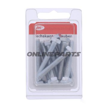 Bolt Galvanized 8.8 M6x40pkg 10 Pcs Altn 4868287