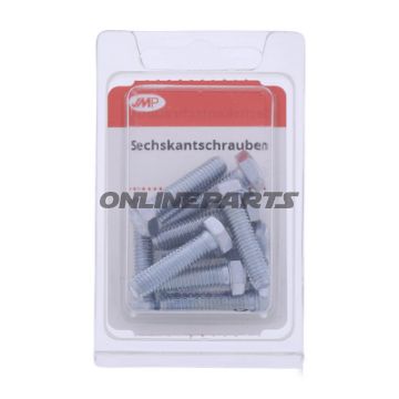 Bolt Galvanized 8.8 M6x25pkg 10 Pcs Altn 4868253