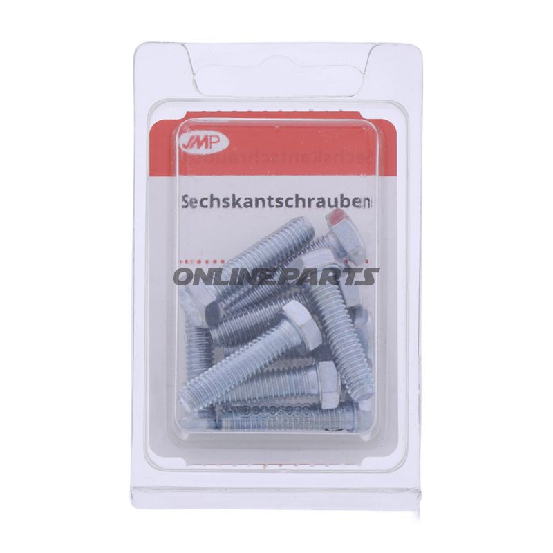Bolt Galvanized 8.8 M6x25pkg 10 Pcs Altn 4868253