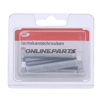 Bolt Galvanized 8.8 M8x50pack 5 Pcs Altn 4868477