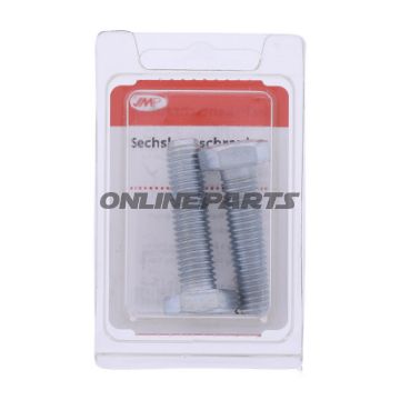 Bolt Galvanized 8.8 M10x40pack 2 Pcs Altn 4868758