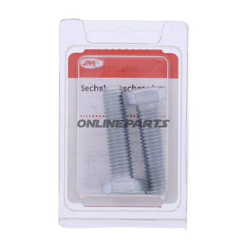 Bolt Galvanized 8.8 M10x40pack 2 Pcs Altn 4868758