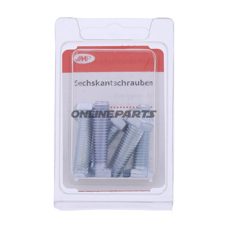 Bolt Galvanized 8.8 M8x30pack 5 Pcs Altn 4868436