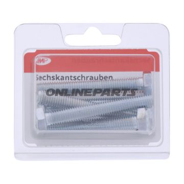 Bolt Galvanized 8.8 M8x60pack 5 Pcs Altn 4868493