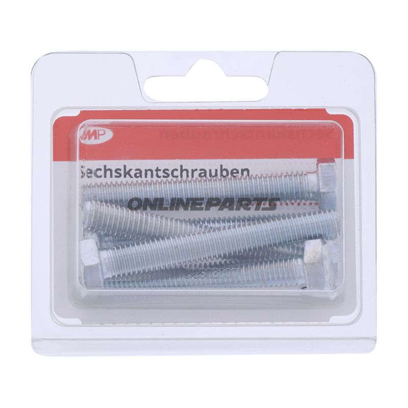 Bolt Galvanized 8.8 M8x60pack 5 Pcs Altn 4868493