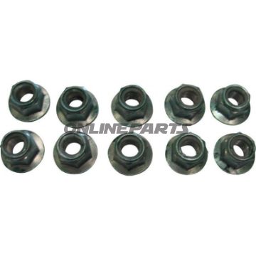 Hex Nut Mq