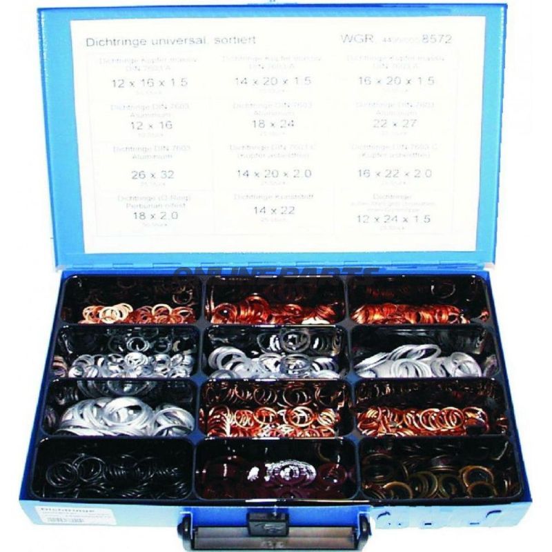 Sealing Ring Sort 8572Alternative: 4590162