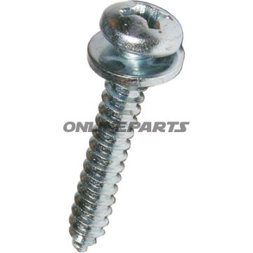 Blechschraube 5.5X19packung 100 Alternative: 4792156