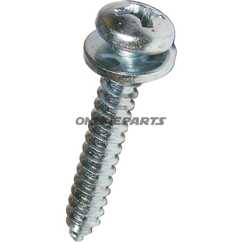 Blechschraube 5.5X19packung 100 Alternative: 4792156