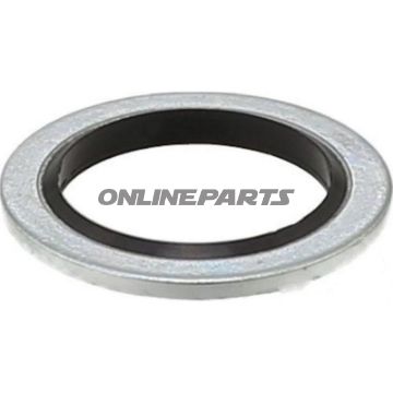 Seal Ring Oelablasss16.7X24x1.5