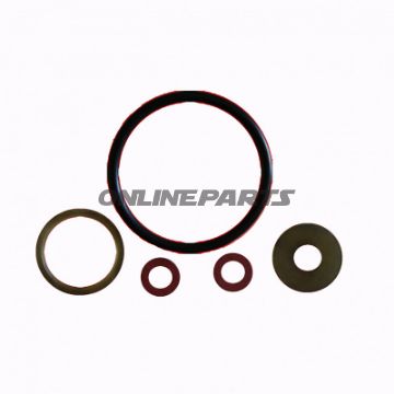 Oil Valve Seal Kit110330