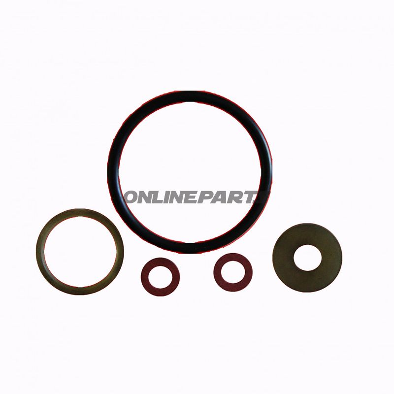 Oil Valve Seal Kit110330
