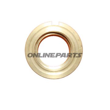 Sicherheitsmutter-Alt810100923
