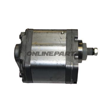 Hydraulikpumpe 2 Ccm980290 980244 Alt