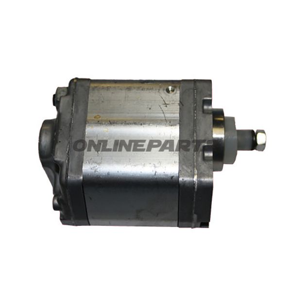 Hydraulikpumpe 2 Ccm980290 980244 Alt