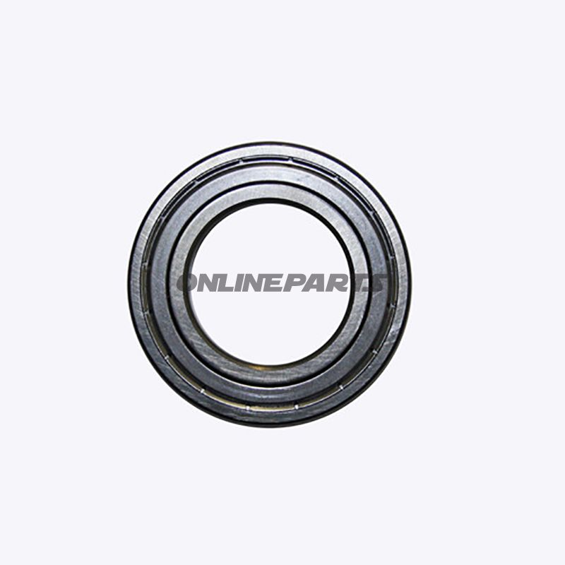 Radiallager 6007Z Ravaglioli602003