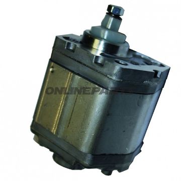Hydraulikpumpe 3 Ccm980282  980243 Alt