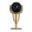 Pressure Regulator 1/2