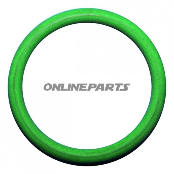 O Ring For Filtedeckel