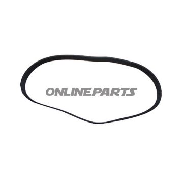 Ribbed Belt Geodyna 45001252584 5Pj711 26424