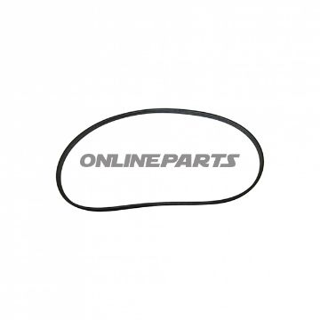 Ribbed Belt 1252580Geodyna
