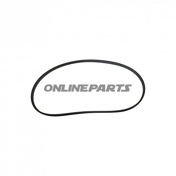 Ribbed Belt 1252580Geodyna