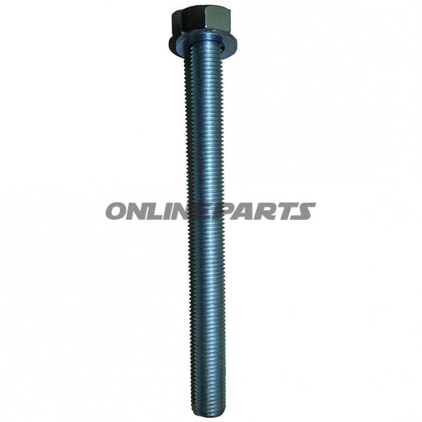 Anchor Rod 16X175