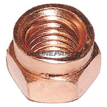 Nuts Ku M10sw17 Bli4thermag Schl Alternative: 4831806