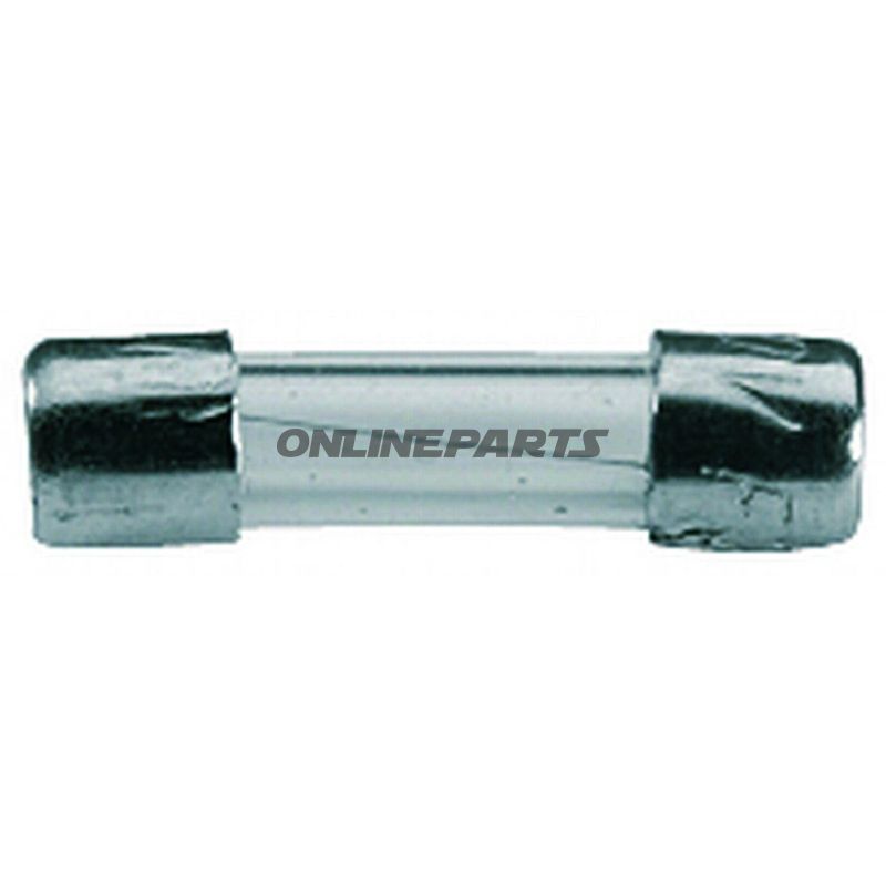 10A Fuse For Radio 5X20mmpack Contains 50 Pieces See Also 1491398