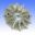 Fan Gy6 125/150152/157 Qmi
