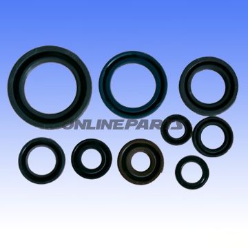 Engine Oil Seal Kit