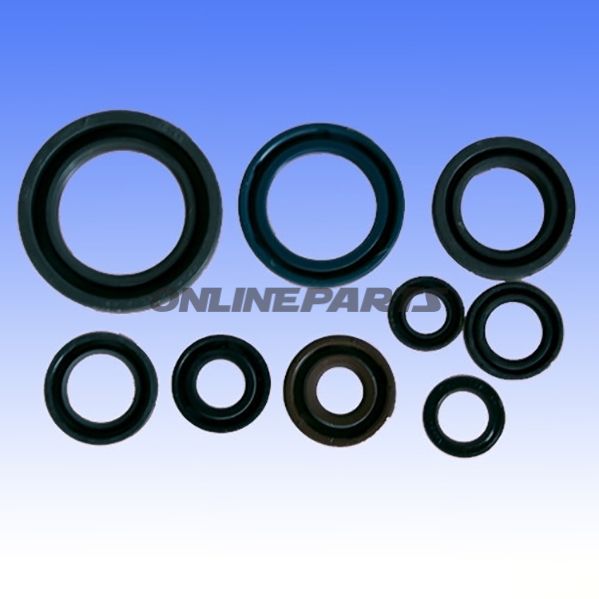 Engine Oil Seal Kit