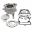 Cylinder Kit 250Ccm Athenastandard Cylinder Kit