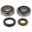 Crankshaft Bearing & Seal Kit
