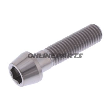 Cone Head Bolt Proboltm10x1.50Mm 40Mm Titan
